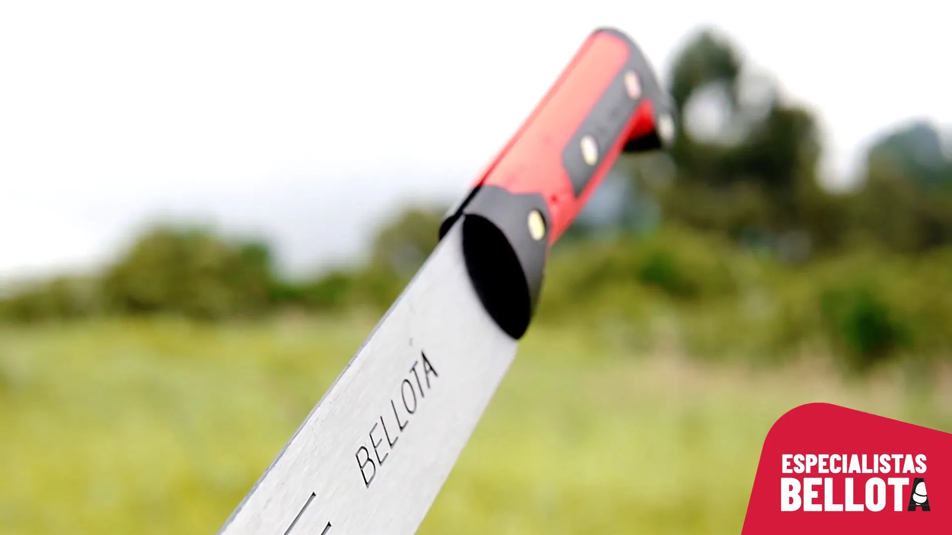 afilar un machete con lima